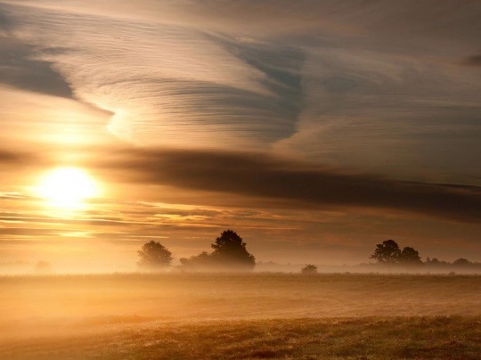 Morning Landscape, Lithuania by Eugenijus Rauduve