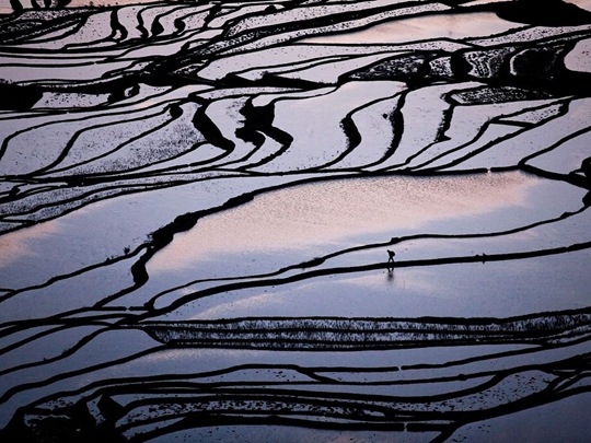 Rice Terraces, China by Byongsun Ahn
