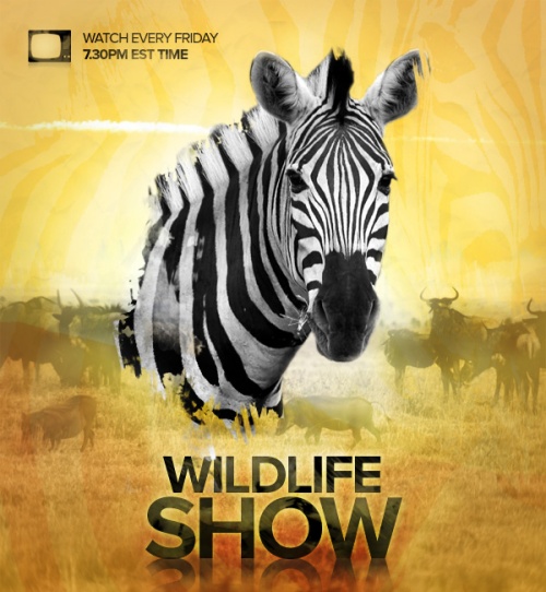 Wildlife TV Show Poster 50+ Photoshop Tutorials for Professional Poster Designing
