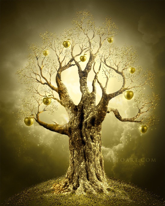 Golden Apple Tree.