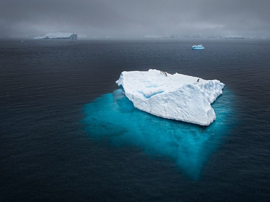 penguins-icebeg-antarctica-photo-of-the-day-natgeo