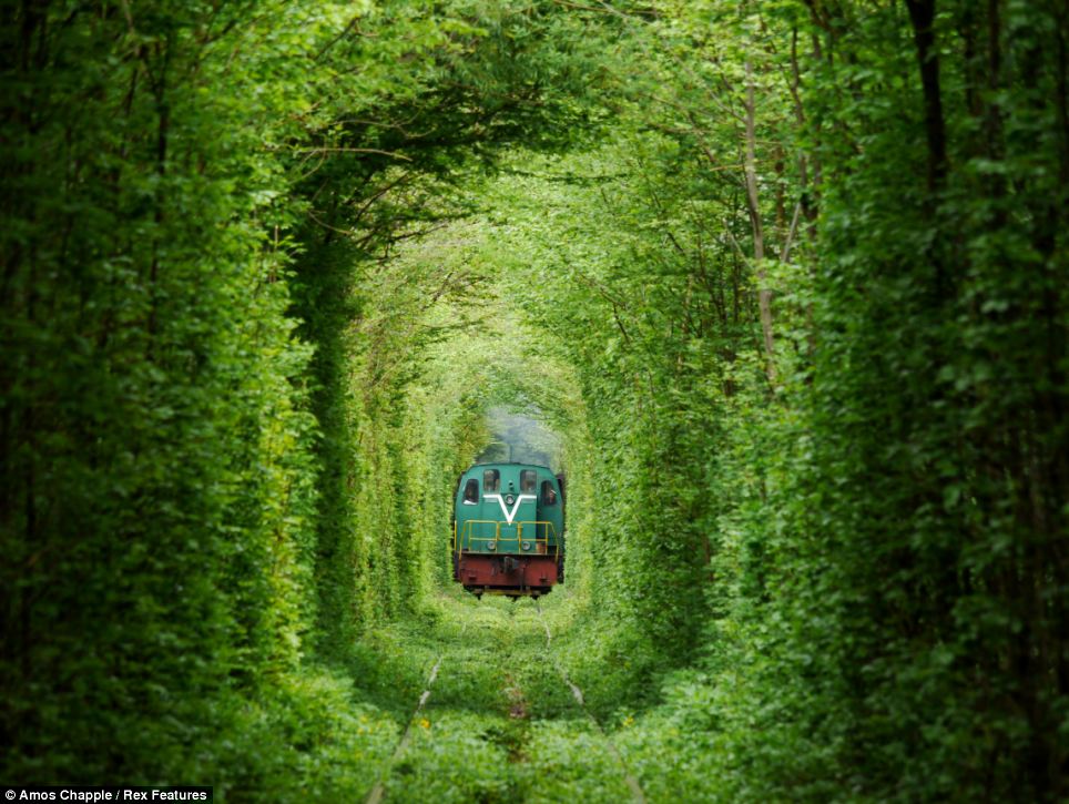 Tunnel Of Love Image 1