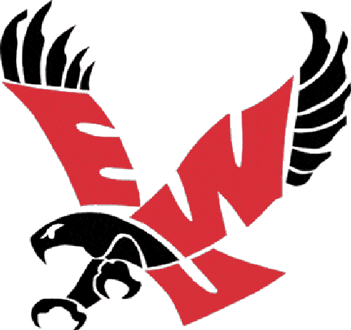 Eagle Logo Designs 5
