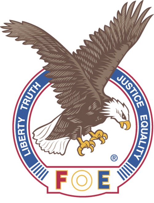 Eagle Logo Designs 9